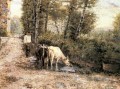Kühe an einem ruhigen Pool Land Bewässerung Eugenio Zampighi